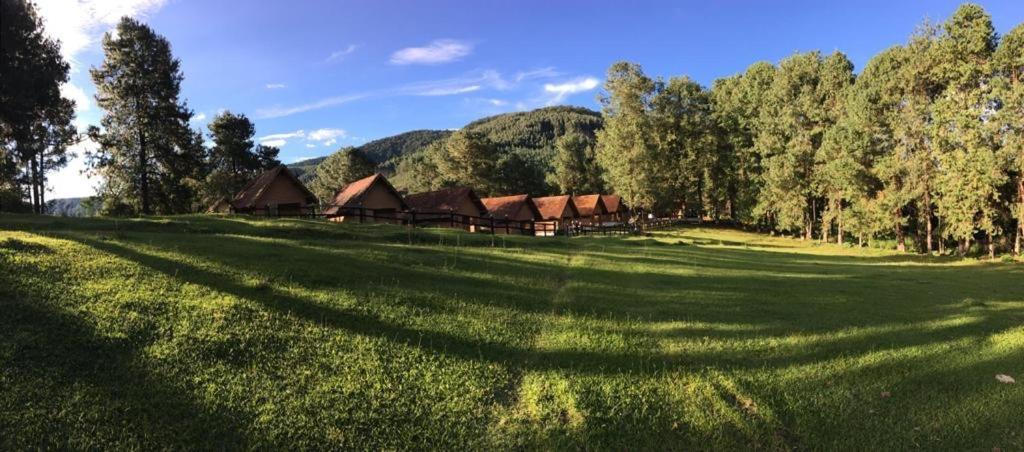 Pousada Sao Luiz - Monte Verde Hotel Monte Verde  Eksteriør billede